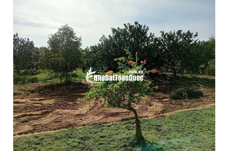 Chưa đến 1ty sở hữu ngay đất tt Bàu Bàng, giá niêm yết, pháp lý minh bạch